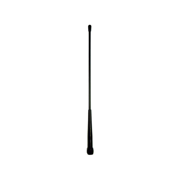 GAT2